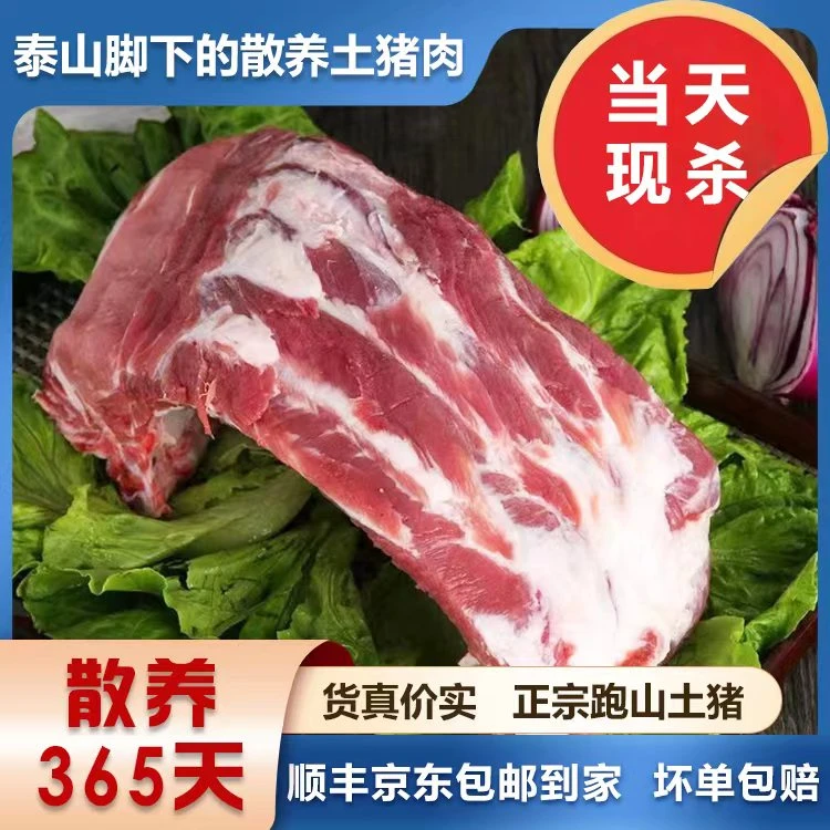 泰山脚下纯粮食猪大排骨三斤装带龙骨顺丰冷链新鲜发货土猪肉散养