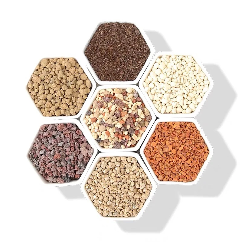 朱sir说 多肉植物上色土