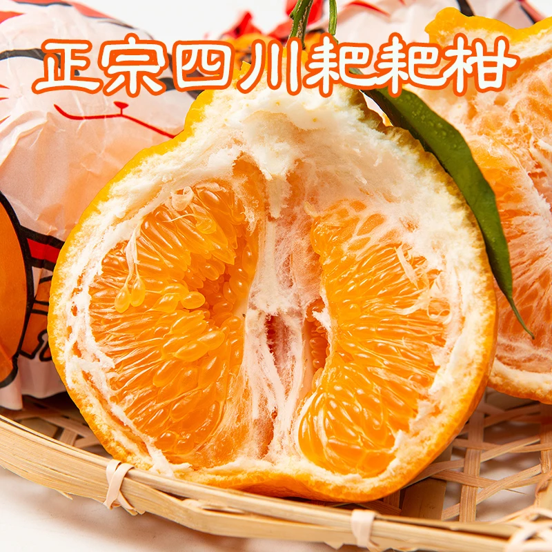 春见爆汁自然甜柑橘子四川新鲜正宗产地直发包邮
