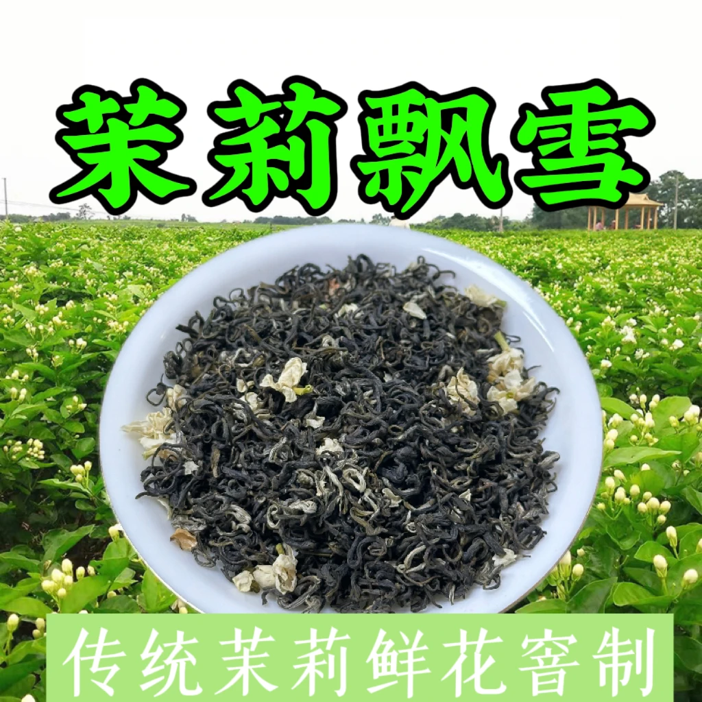 广西横县厂家直销浓香茉莉飘雪甘甜清爽茉莉花茶送礼自饮经典好茶