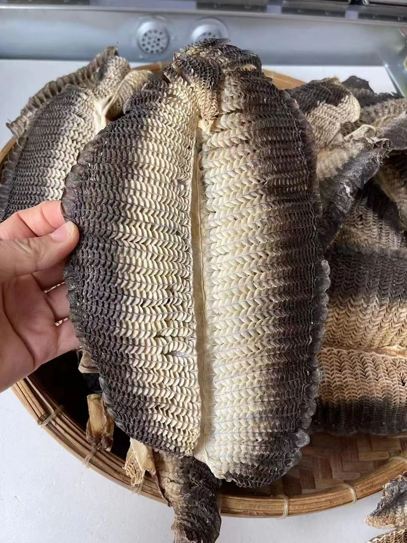 鱼鳃干货膨鱼腮喝汤广东煲汤食材海味鱼胶干货