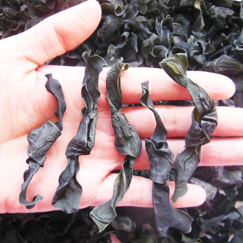 烘干海带结干货无沙免洗霞浦海带扣关东煮麻辣烫火锅商用家用小结