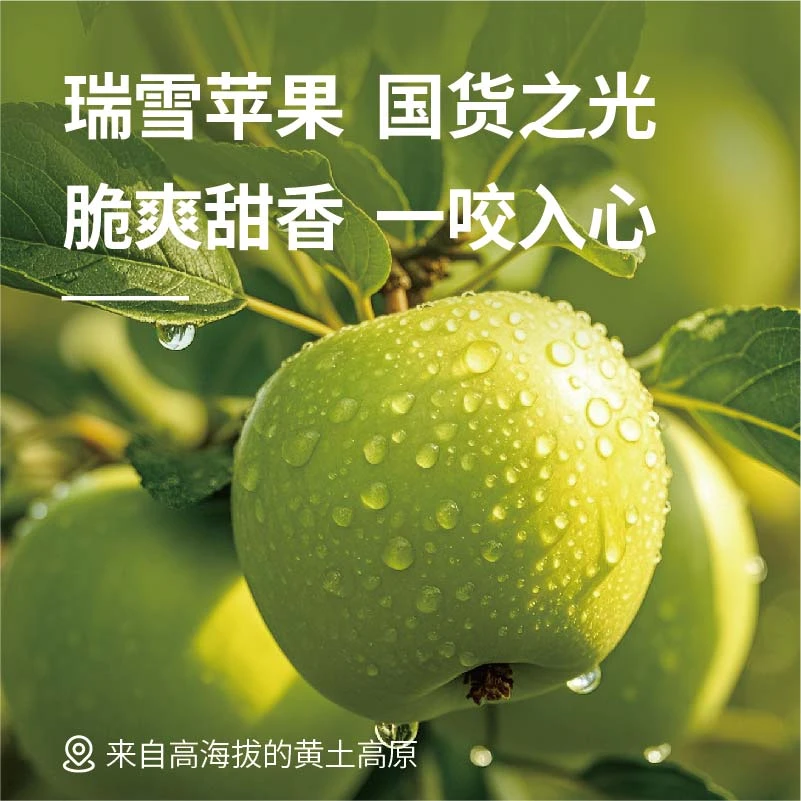 正宗瑞雪苹果纯甜玫瑰香味应季水果新鲜青苹果孕妇水果整箱包邮