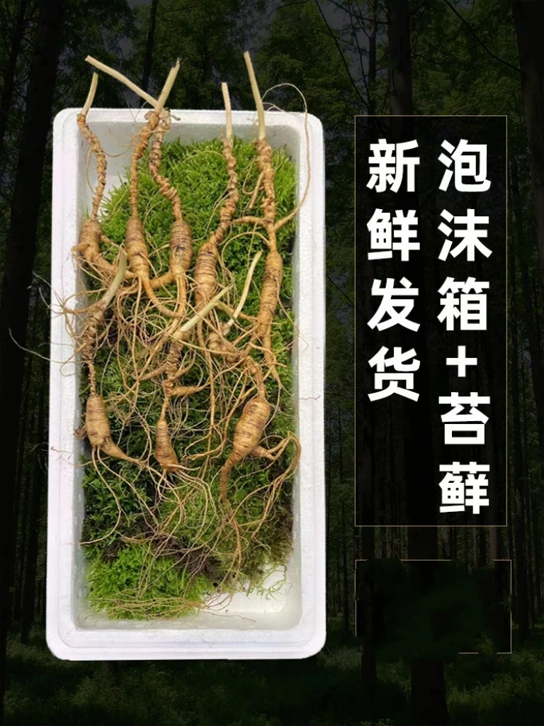 长白山人参 鲜参   一物一拍100克
