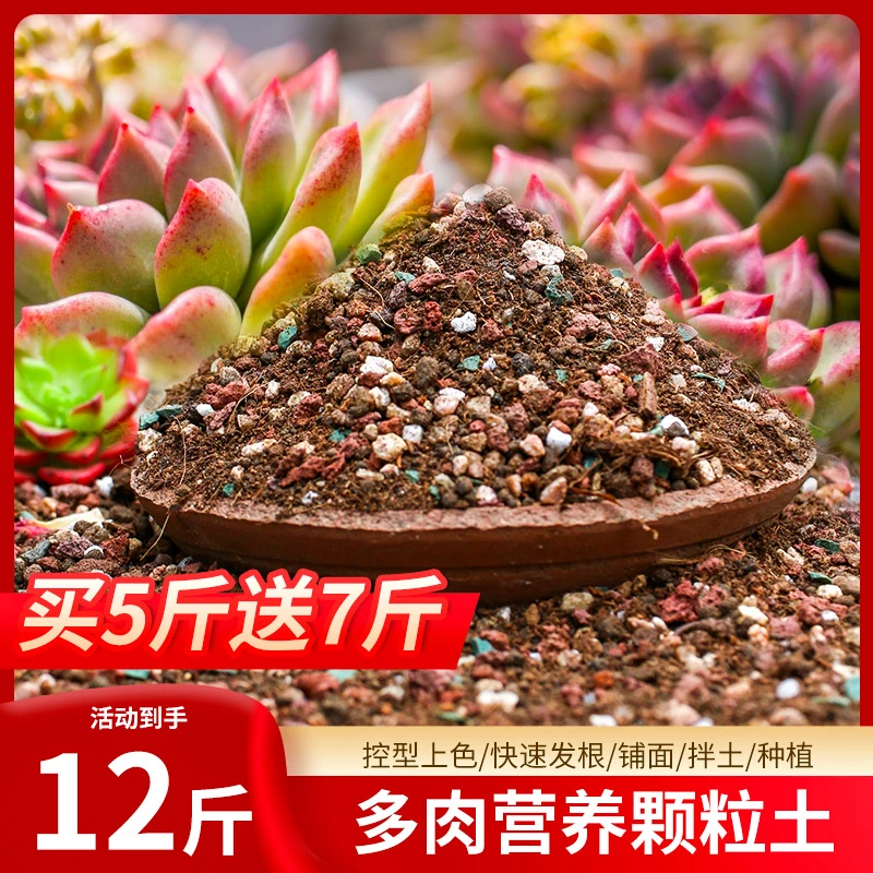 一一家多肉专用配方营养土老桩植物进口泥炭种植土铺面石叶插纯土