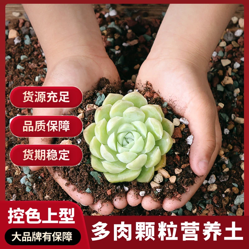 多肉专用颗粒土均衡配方疏松营养土壤种植适用叶插铺面石颗粒花土