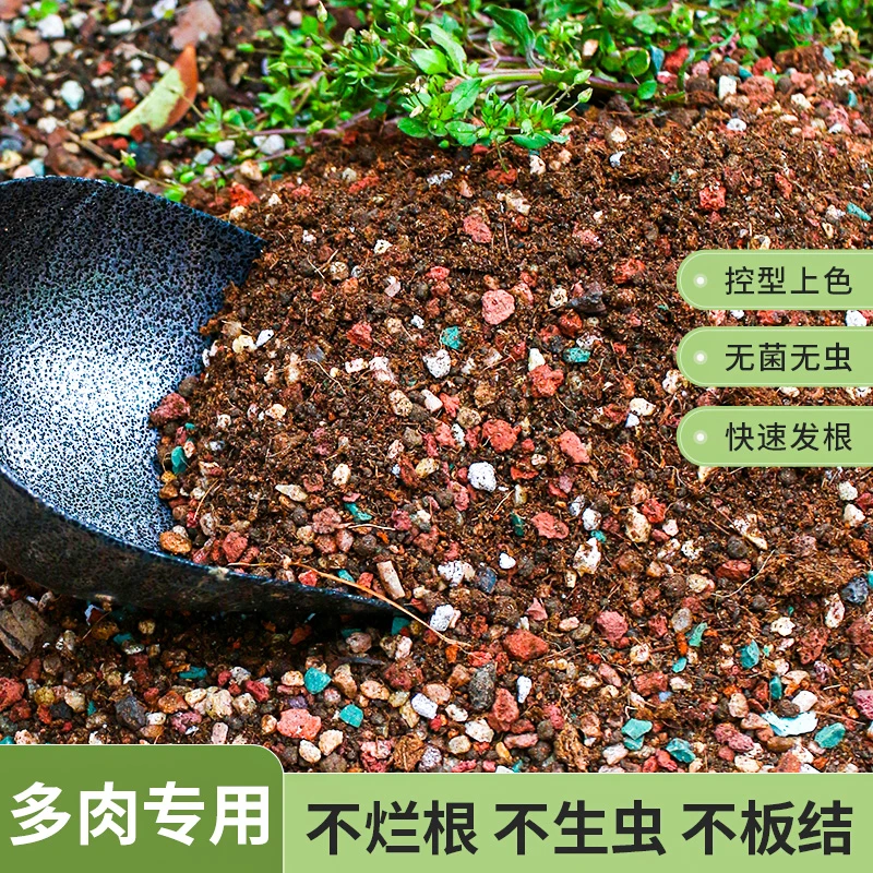 【粉丝福利】买5斤送5斤多肉专用颗粒土直接种植70%多肉颗粒思威博