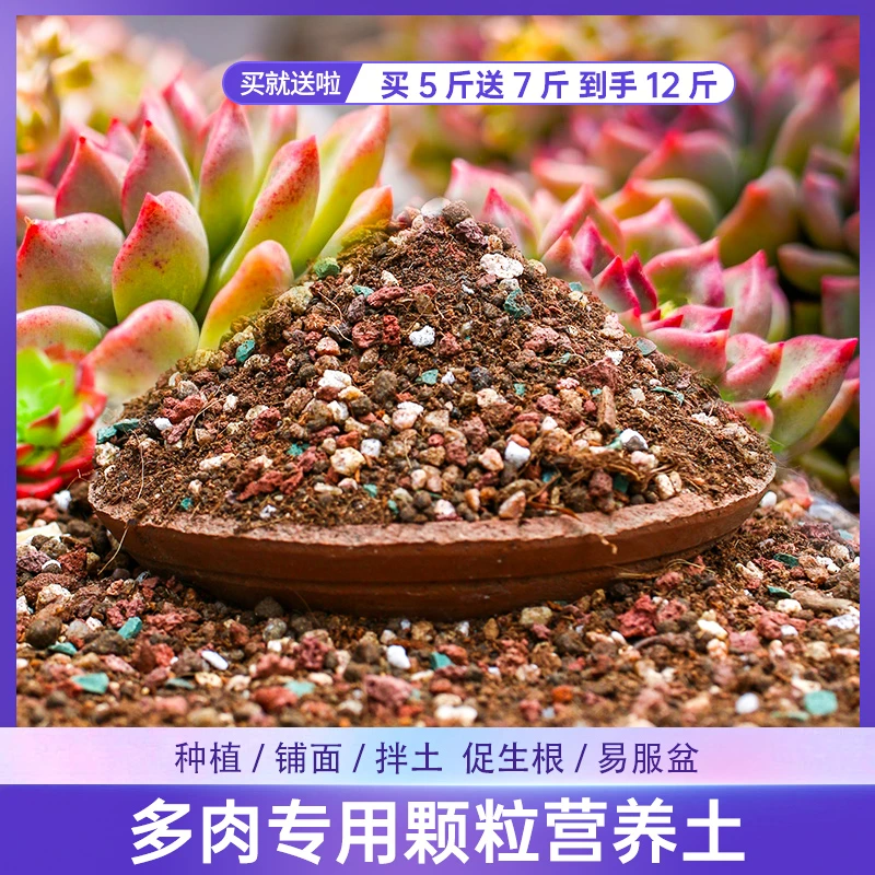 【小董宠粉专属】多肉土专用颗粒营养土老桩植物泥炭种植土叶插纯土