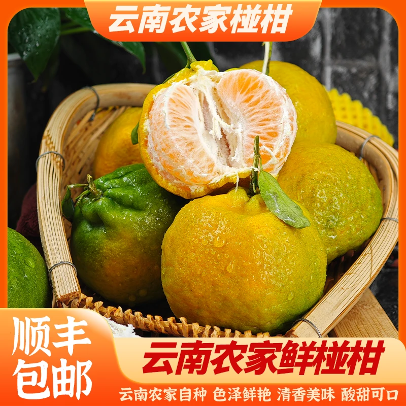 云南老品种新鲜椪柑现摘现发产地直发酸甜可口 当季新鲜水果 包邮