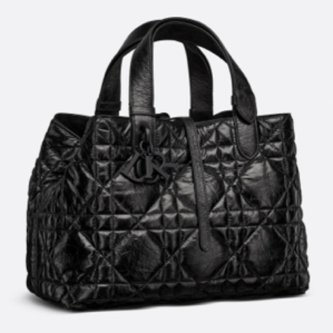 全新未使用 DIOR/迪奥 中号Toujours手袋藤格纹大容量手提包