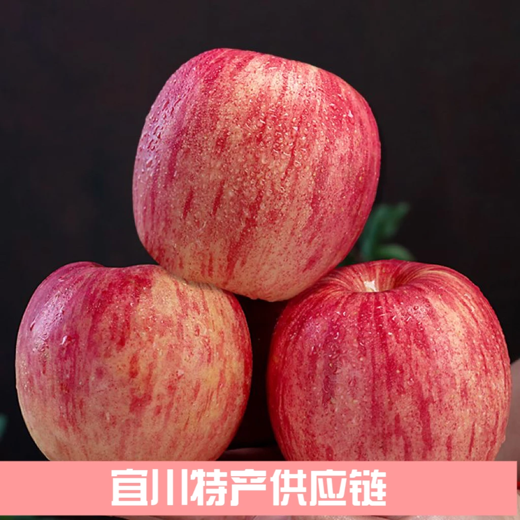 【宜川特产】正宗陕西延安高原新鲜脆甜红富士4.5-8.5斤装产地直发
