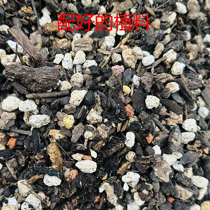 粉丝专享 自家秘制植料秋支 绿 宋春艺草等名贵高端兰专用料