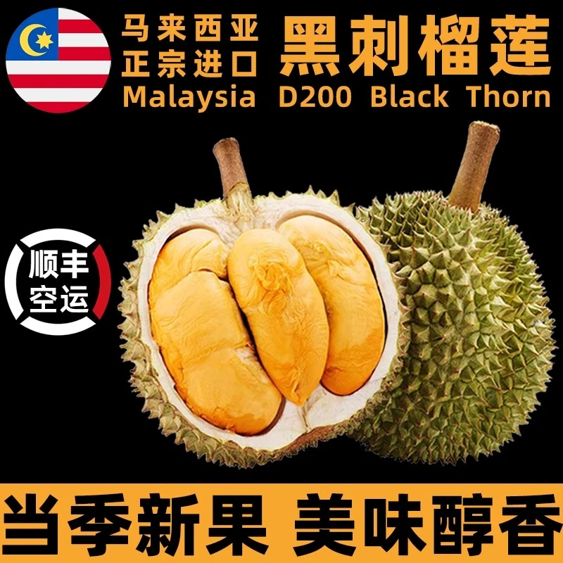 黑刺榴莲新鲜D200马来西亚进口冷冻液氮带壳水果顺丰包邮2-20斤