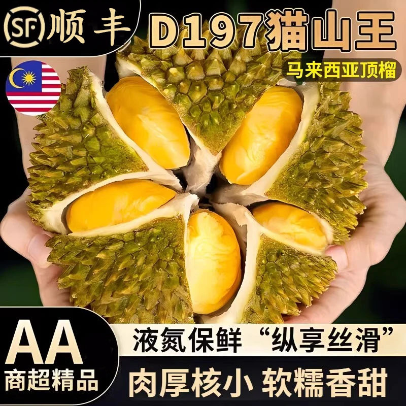 AA果保5房新鲜整果猫山王榴莲D197马来西亚进口液氮冷冻2.5-20斤