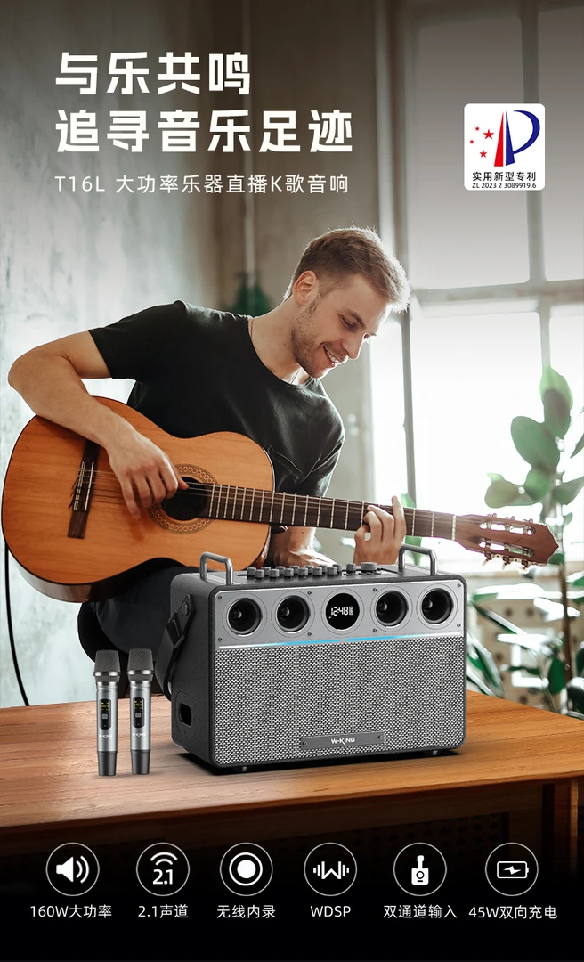 维尔晶T16L 蓝牙音响乐器多功能大功率便携式蓝牙音响无线
