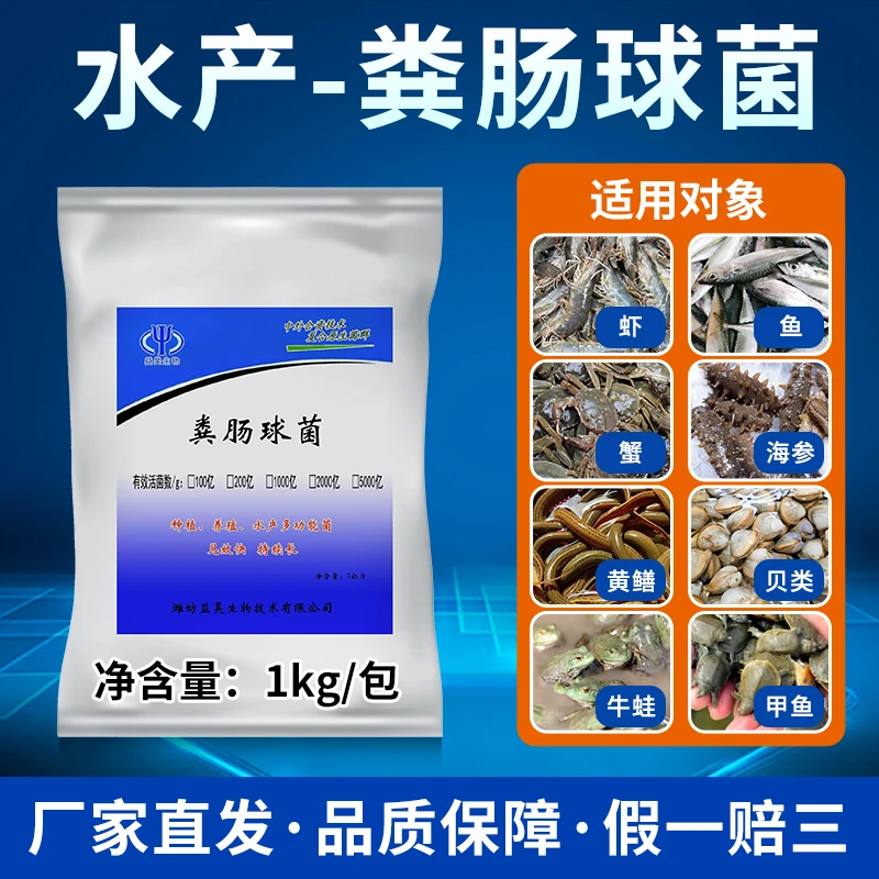 水产养殖粪肠球菌调水净水调理肠道增强免疫粪肠球菌