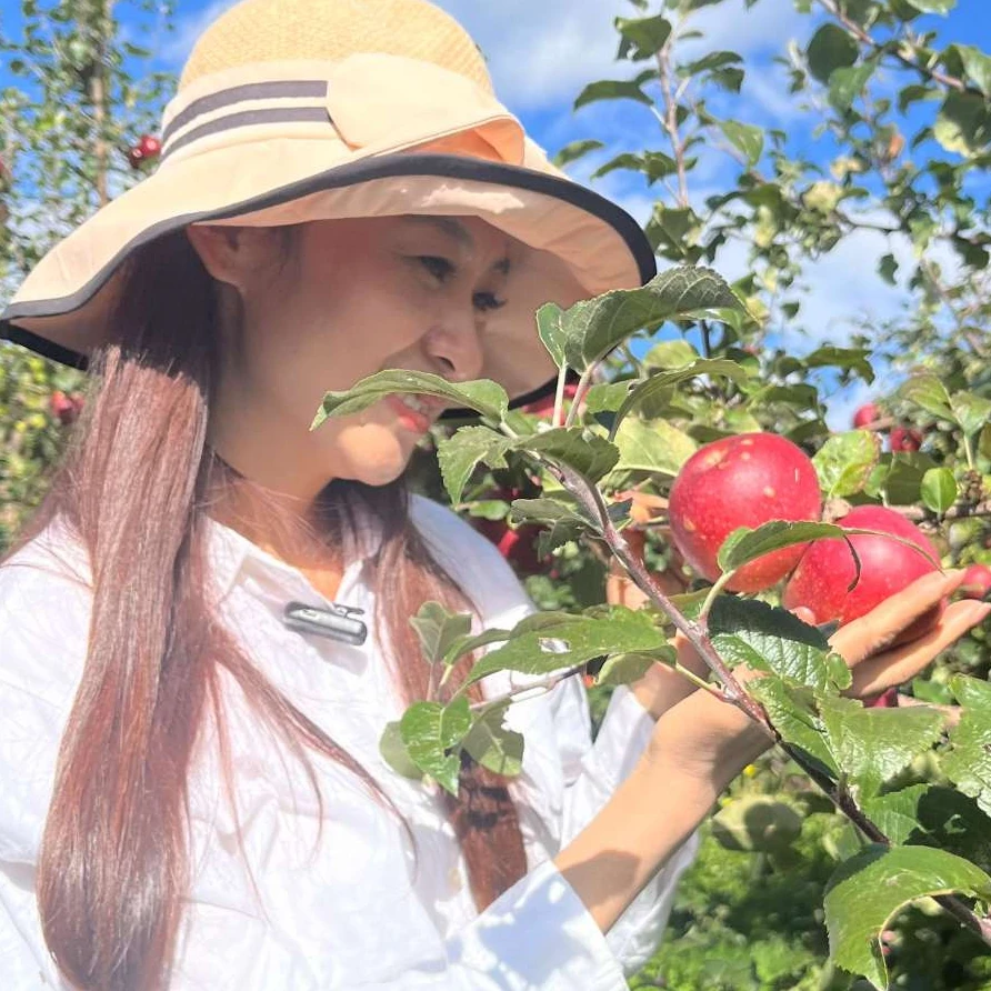 云南大理杨柳村新上市冰糖心丑苹果不打蜡原生态新鲜现摘发货包邮