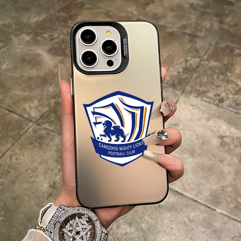 沧州雄狮苹果16promax手机壳iphone17男生13/14磨砂12全包11x小众