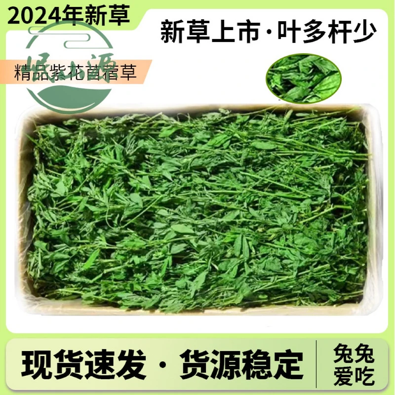 新鲜烘干苜蓿草幼兔叶子荷兰猪专用龙猫紫花新鲜烘干饲料兔粮