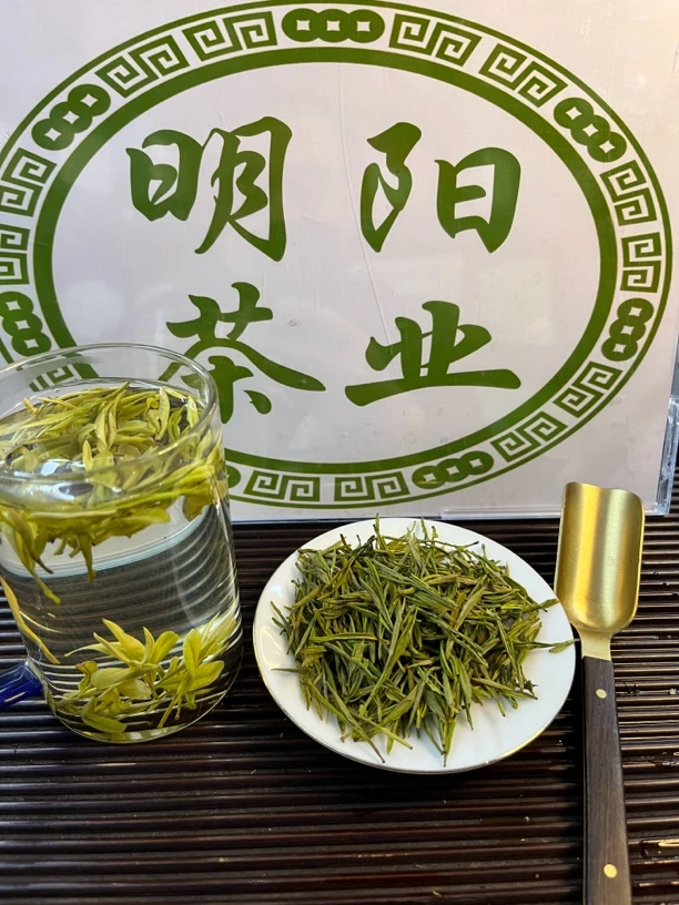 黄金芽,2025年春茶【窗帘哥专属】