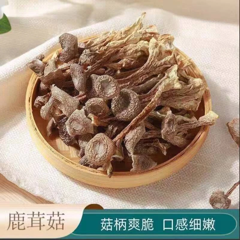 云南鹿茸菇干货2025新货新鲜鹿耳菇鹿茸菌类香菇类菌菇煲汤美味营