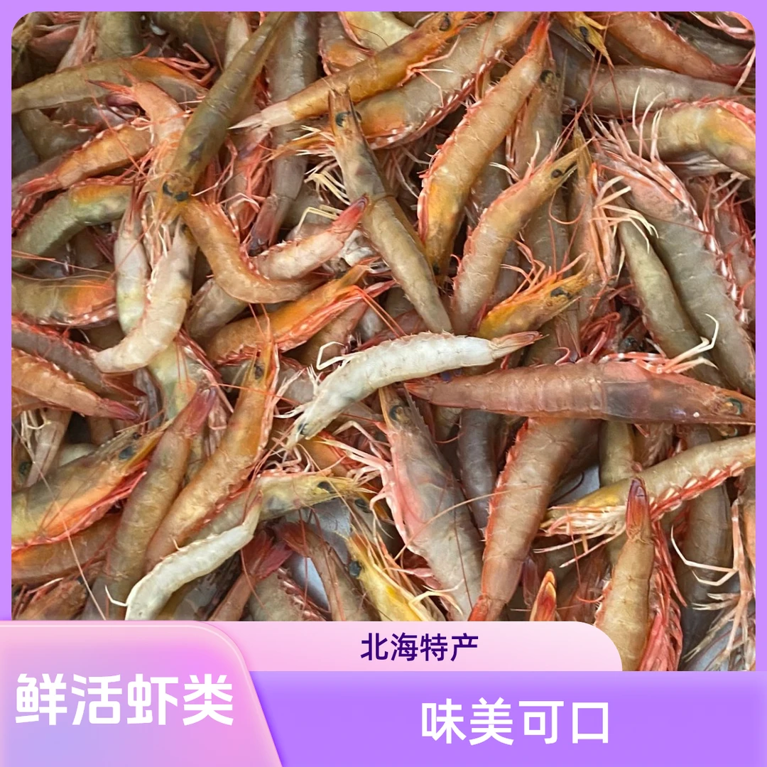 北海  浅海 直播间现称 小麻虾【沙卢虾】鲜美可口