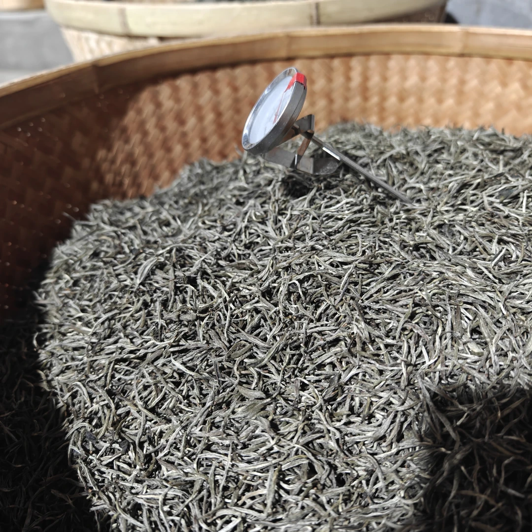 2022年政和白茶.梅占炭焙银针.厂家直销250g*1袋