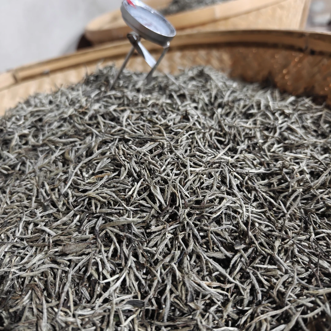 2022年政和白茶.福大炭焙银针3号厂家直销顺丰包邮250g*1袋