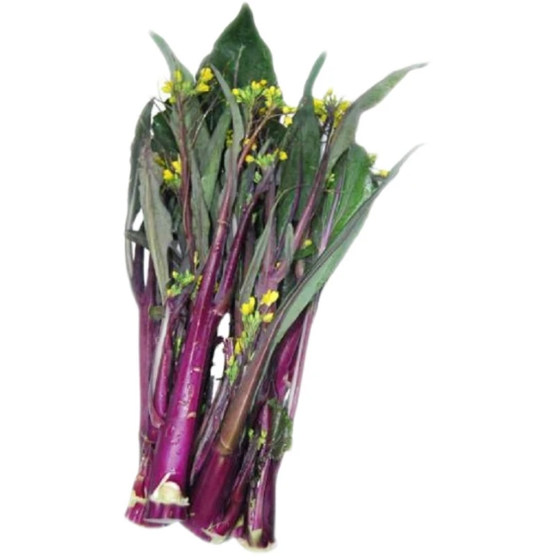 叶菜类农家菜拼装青油菜红油菜血皮菜折耳根芹菜蒜苗现摘现发