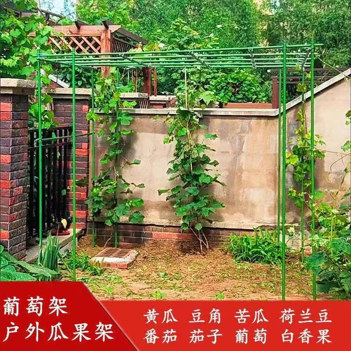 葡萄黄瓜架家用植物支架藤蔓花卉支撑爬藤架户外庭院支柱包塑钢管