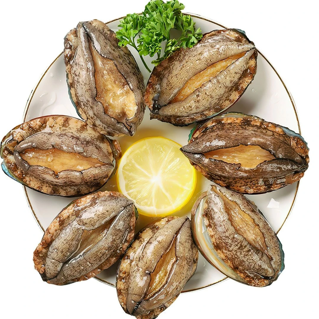 12头规格鲍鱼5-5.5CM 到手18+2只共20只海鲜水产活鲍速冻约600g