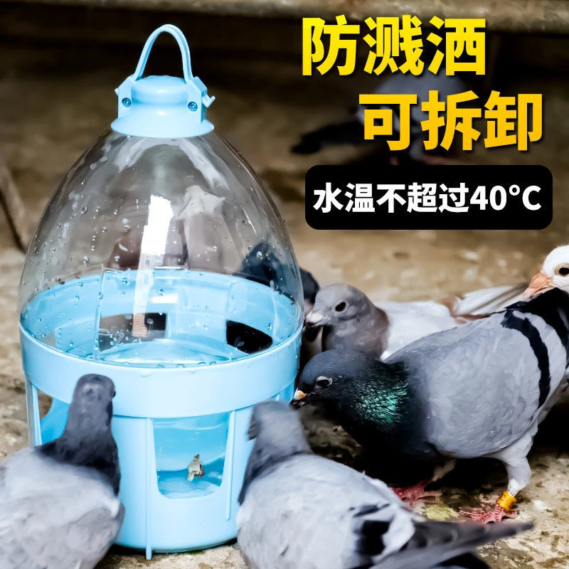 鸽子用品用具信鸽鸽子水壶自动饮水器水槽赛鸽鸟用加厚水壶鸽具