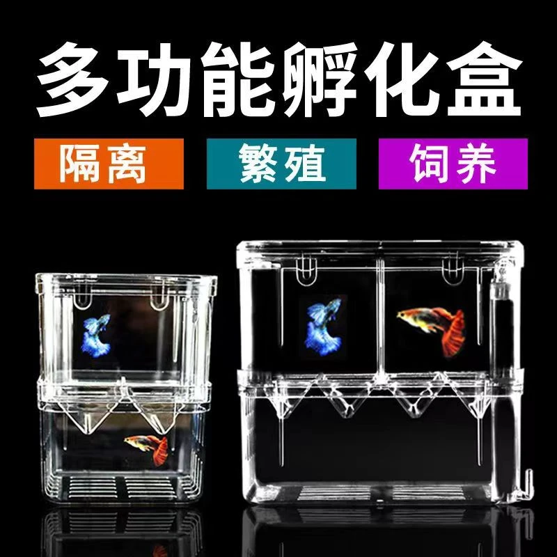 孔雀鱼繁殖盒孵化器鱼产卵房特大号小鱼苗分离箱亚克力鱼缸隔离盒