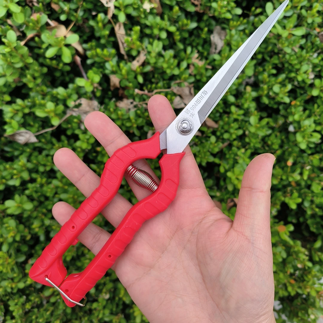 采果剪稀果剪葡萄疏花剪修花嫩细枝修枝剪果蔬菜花椒采摘摘果剪刀