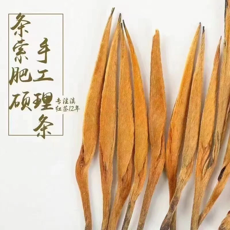 箐中古树 云南临沧花蜜香单芽大金针