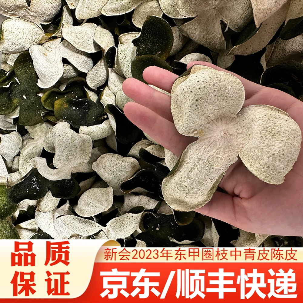 新会2023年东甲圈枝中青皮陈皮（精品货）