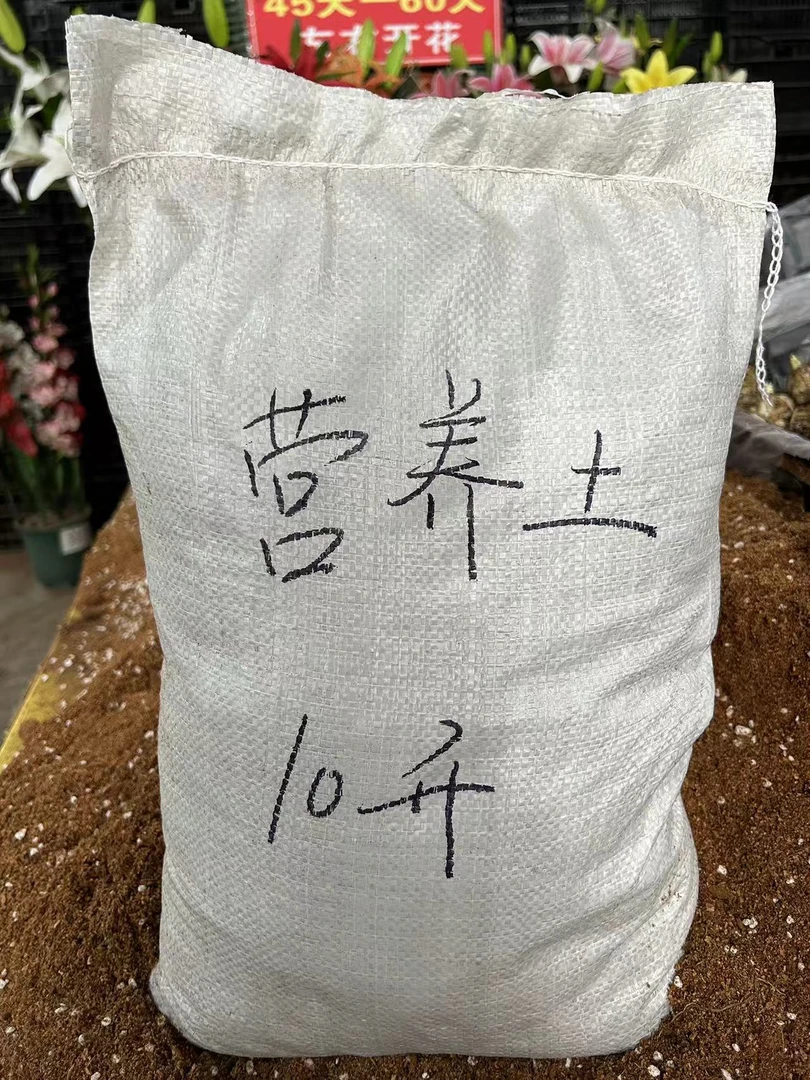 专用营养土可以装2加仑盆4盆