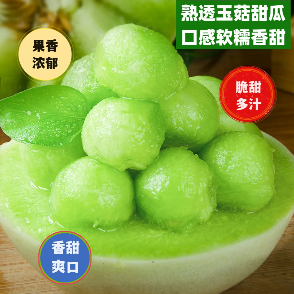 鑫荣升山东冰淇淋玉菇春季甜瓜净重3.5-4斤1-2个果新鲜应季水果