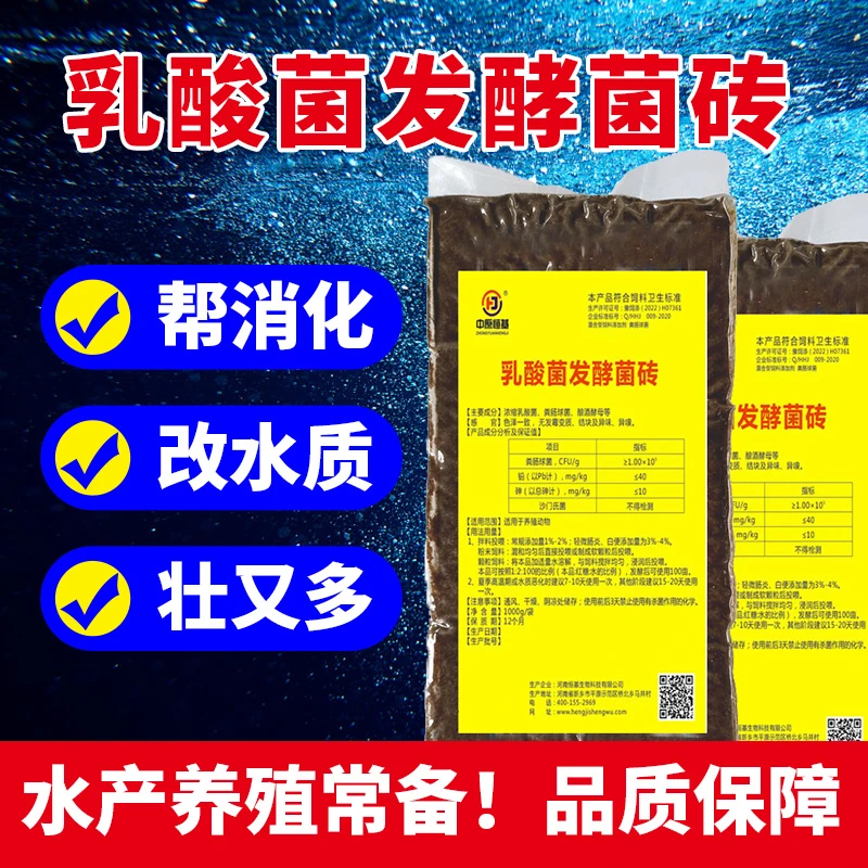 水产养殖发酵菌砖乳酸菌EM菌种扩培湿发酵益生菌调水净水百便空肠