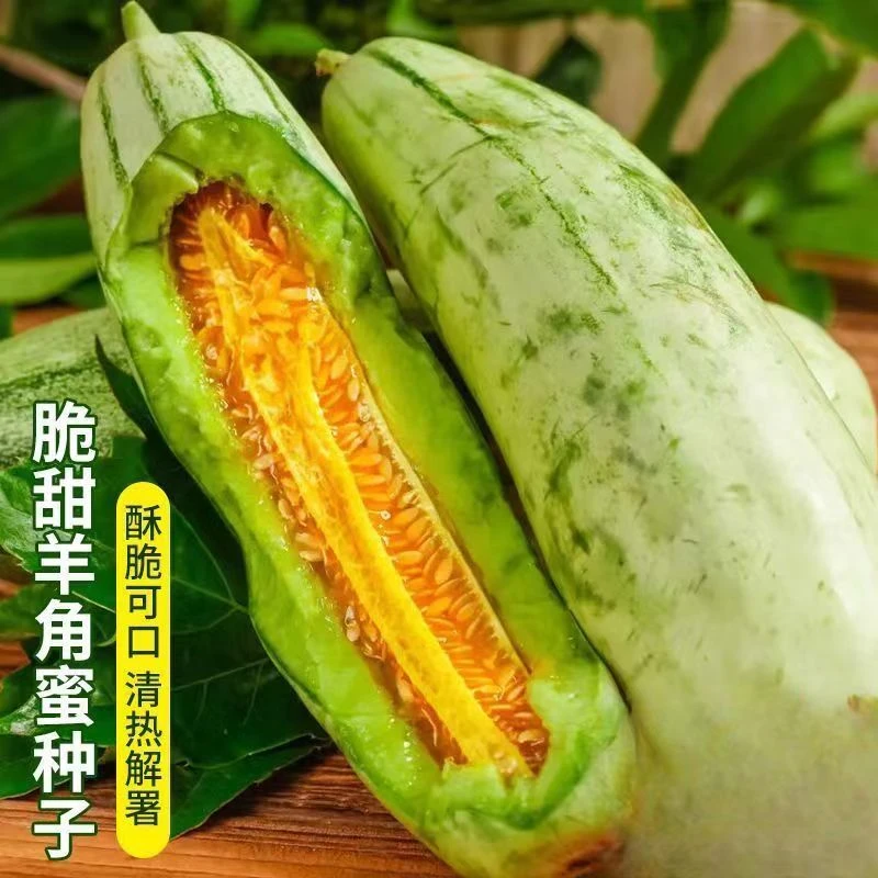 羊角蜜甜瓜种子甜瓜水果种籽羊角脆甜种子四季播冰糖子绿宝石种子