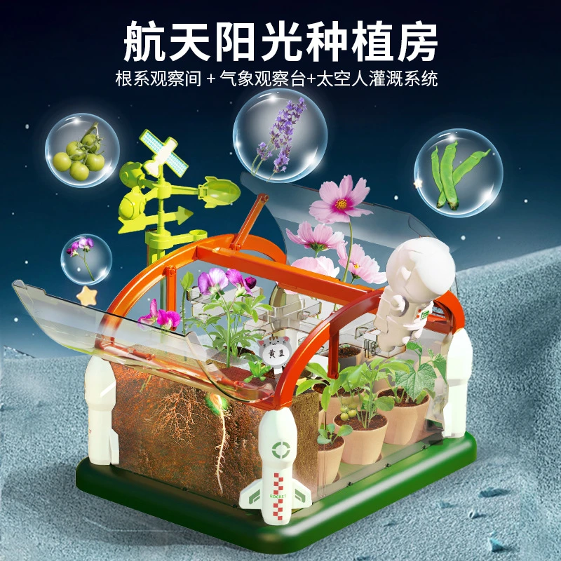 阳光种植房孩子儿童玩具科学孩子小朋友浇水科学儿童节