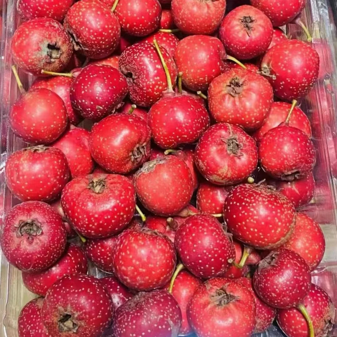 【臻果记】甜山楂1盒约200g