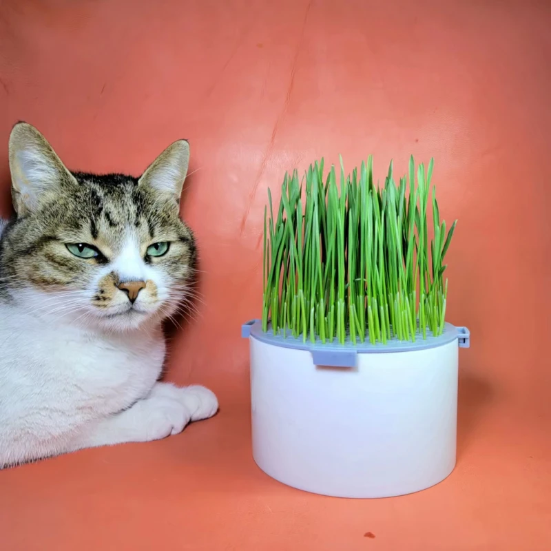 淘猪3.0旋扣猫草盆-免手持防拔猫咪零食吐毛球三层水培懒人猫草盆