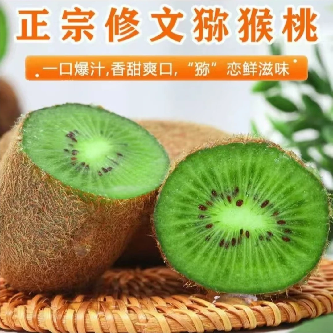 贵州修文猕猴桃 12枚/件