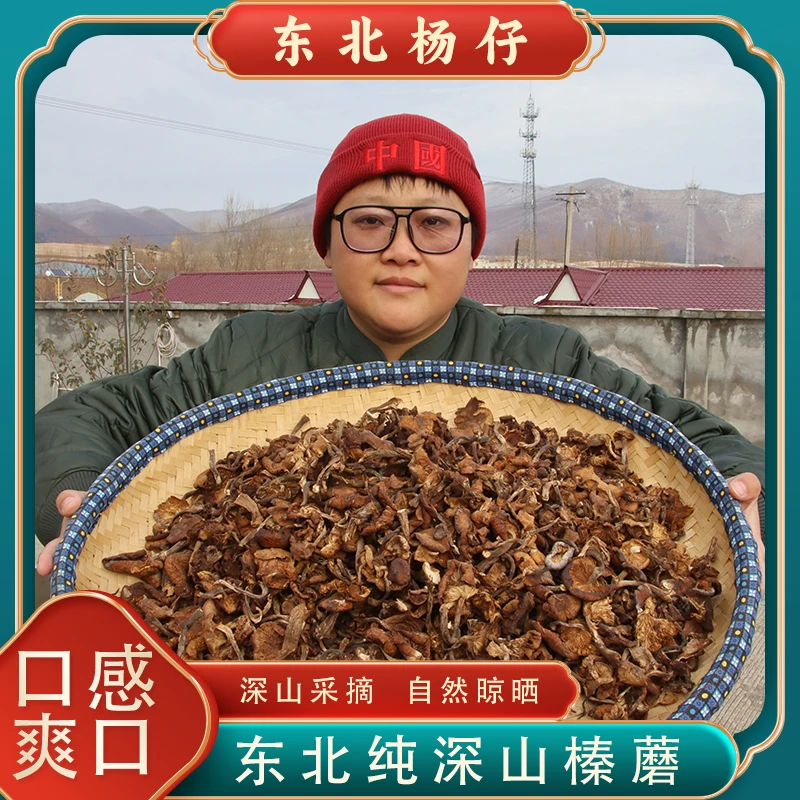 【东北杨仔】2024新货大自然馈赠林下干榛蘑半斤/一斤