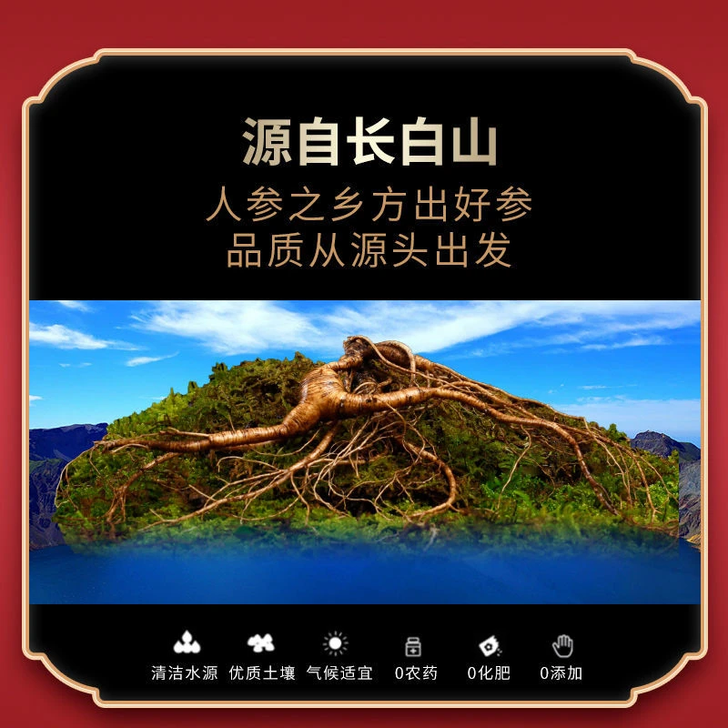 长白山人参，新鲜人参，老残参