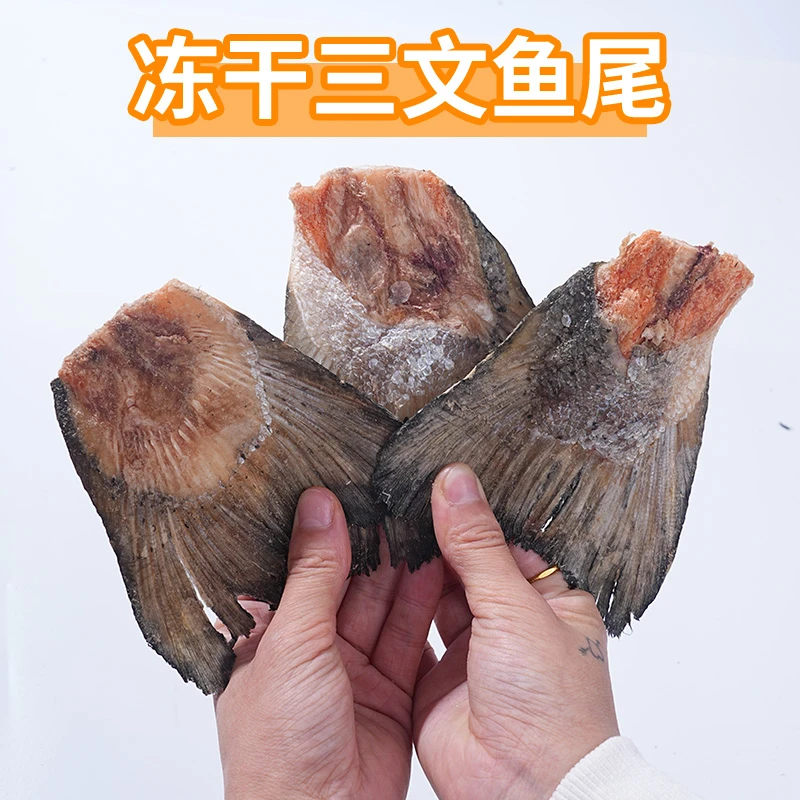 无添加原切冻干三文鱼尾鱼皮鱼肉块宠物狗狗猫咪磨牙小零食鱼油