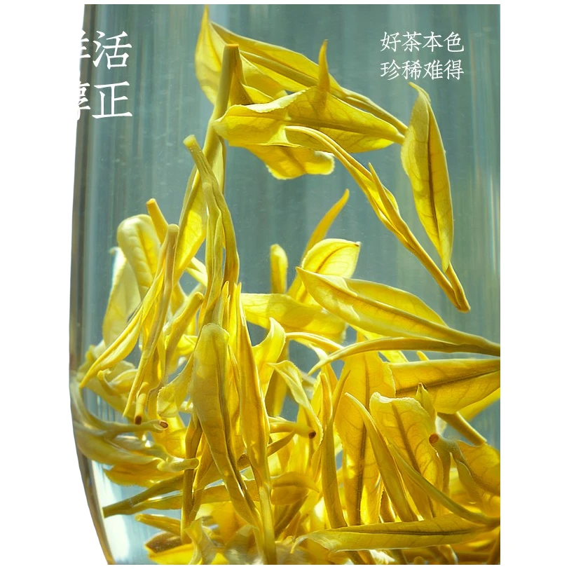 牛镇黄茶2024春季新茶黄金芽浓香耐泡茶园直发