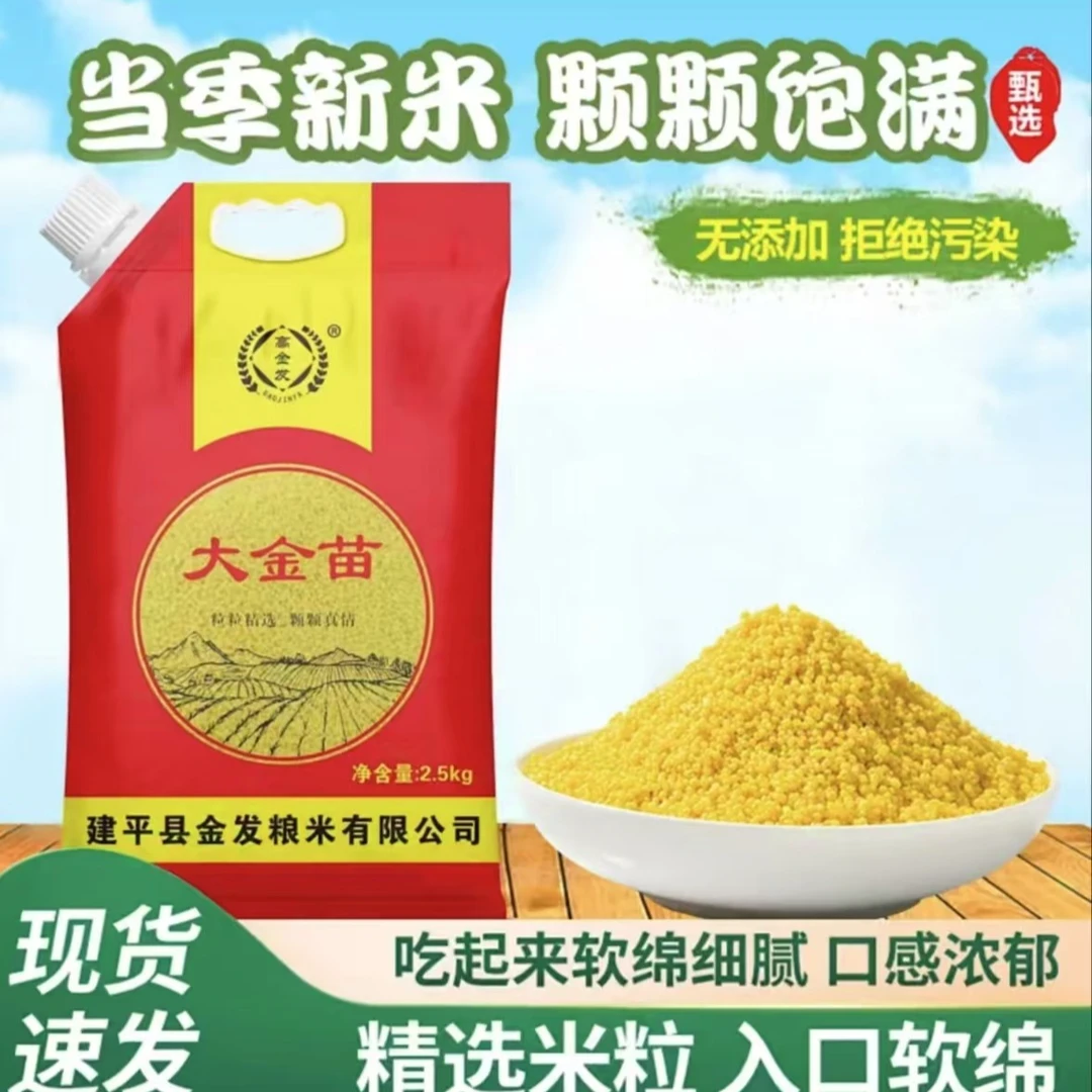 【主播推荐】朝阳小米 大金苗小米当季新米家庭装五斤