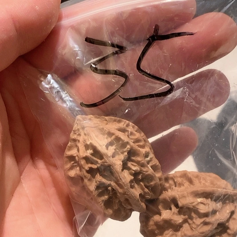 【闪购商品】文玩核桃吊坠撸****干